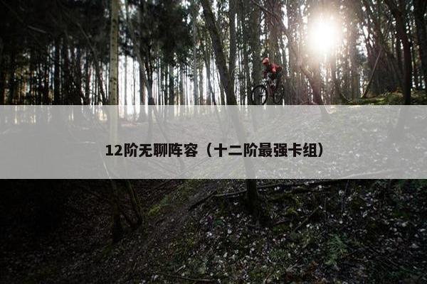 12阶无聊阵容（十二阶最强卡组）