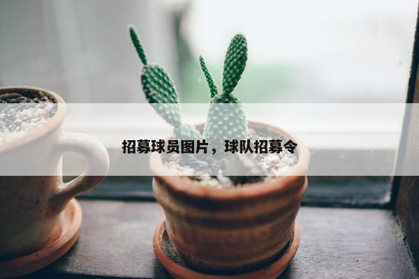招募球员图片，球队招募令
