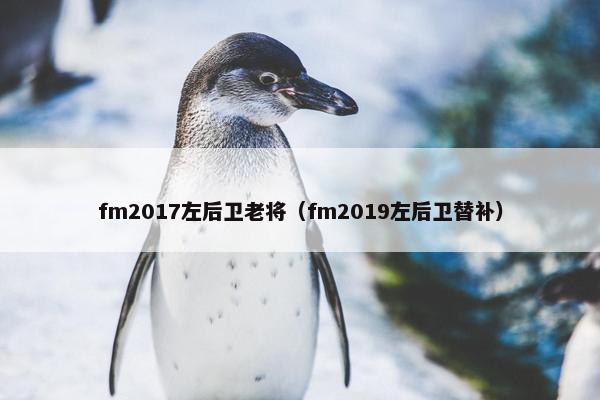 fm2017左后卫老将（fm2019左后卫替补）