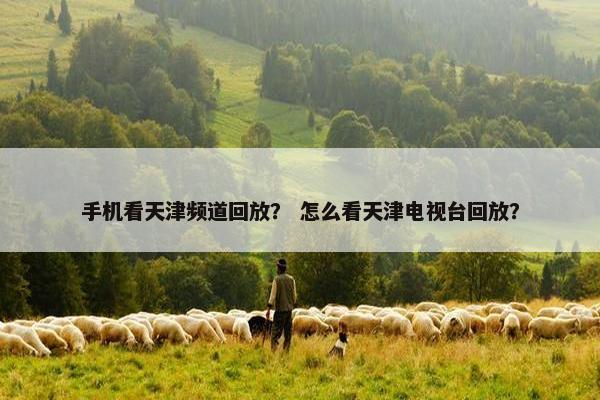 手机看天津频道回放？ 怎么看天津电视台回放？