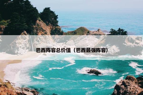 巴西阵容总价值（巴西最强阵容）