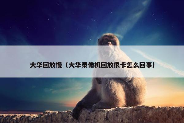 大华回放慢（大华录像机回放很卡怎么回事）
