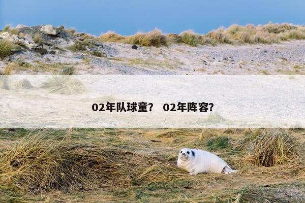 02年队球童？ 02年阵容？