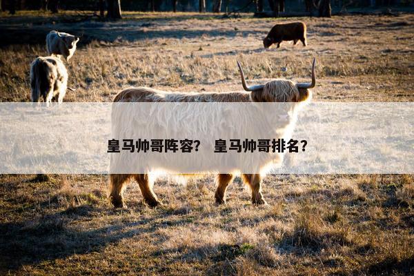 皇马帅哥阵容？ 皇马帅哥排名？