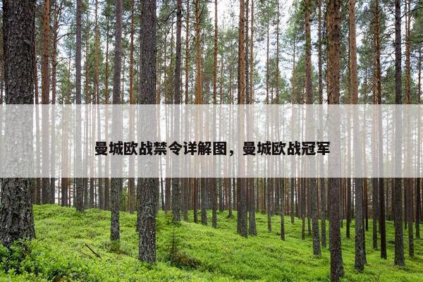 曼城欧战禁令详解图，曼城欧战冠军