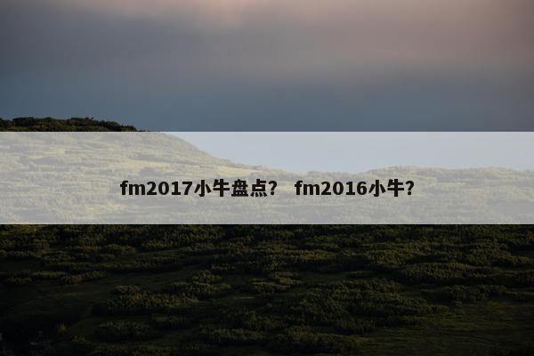 fm2017小牛盘点？ fm2016小牛？