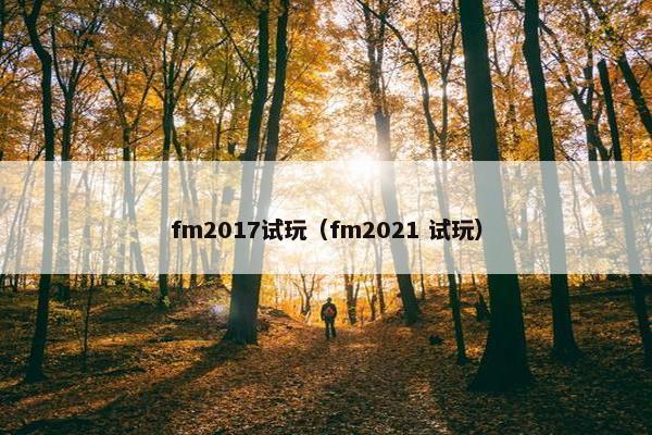 fm2017试玩（fm2021 试玩）