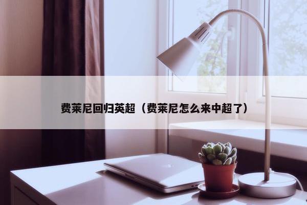 费莱尼回归英超（费莱尼怎么来中超了）