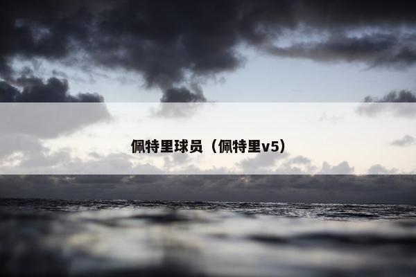 佩特里球员（佩特里v5）