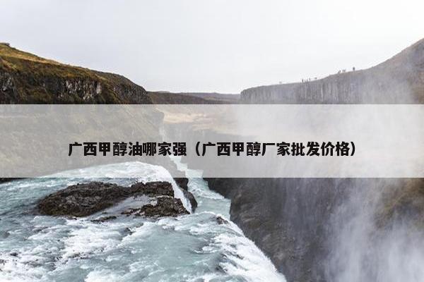 广西甲醇油哪家强（广西甲醇厂家批发价格）