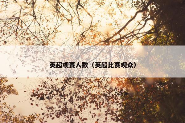 英超观赛人数（英超比赛观众）