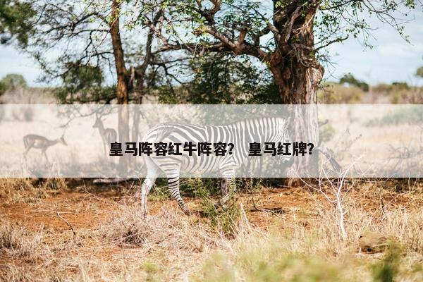 皇马阵容红牛阵容？ 皇马红牌？