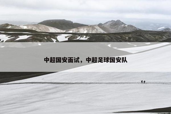 中超国安面试，中超足球国安队