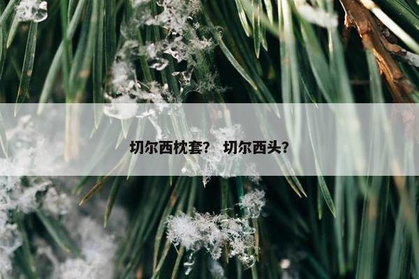 切尔西枕套？ 切尔西头？