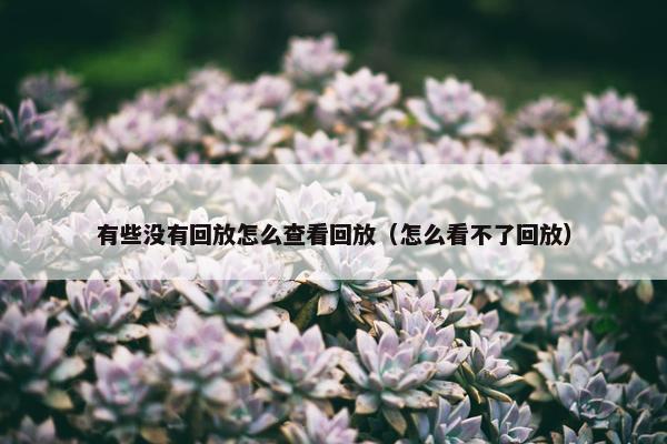 有些没有回放怎么查看回放（怎么看不了回放）