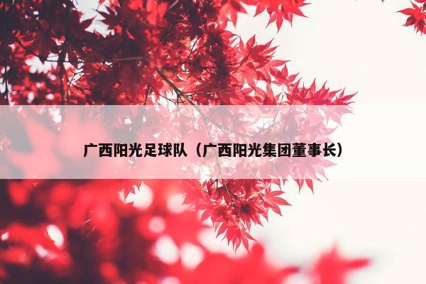 广西阳光足球队（广西阳光集团董事长）