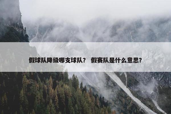 假球队降级哪支球队？ 假赛队是什么意思？