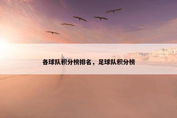 各球队积分榜排名，足球队积分榜