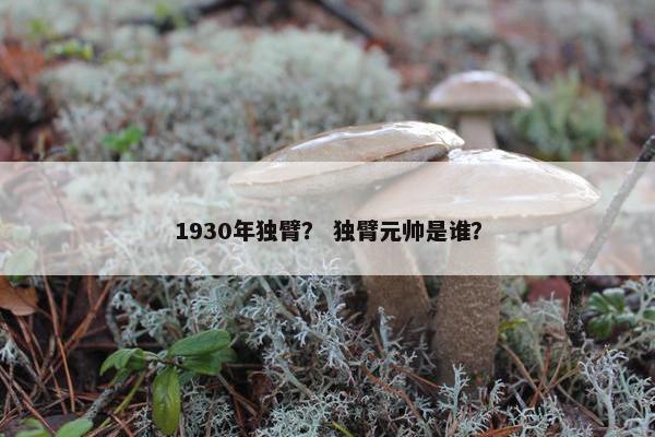 1930年独臂？ 独臂元帅是谁？