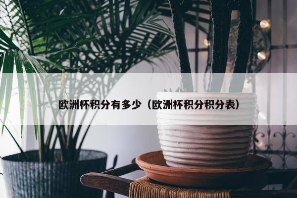 欧洲杯积分有多少（欧洲杯积分积分表）