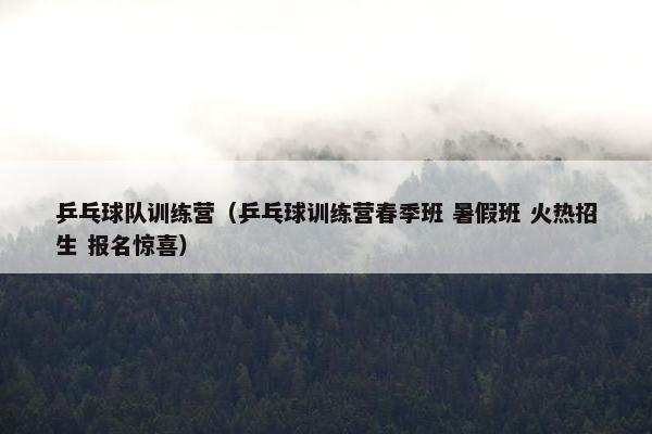 乒乓球队训练营（乒乓球训练营春季班 暑假班 火热招生 报名惊喜）