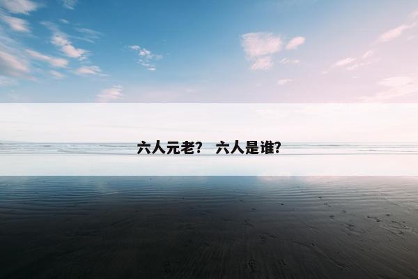 六人元老？ 六人是谁？