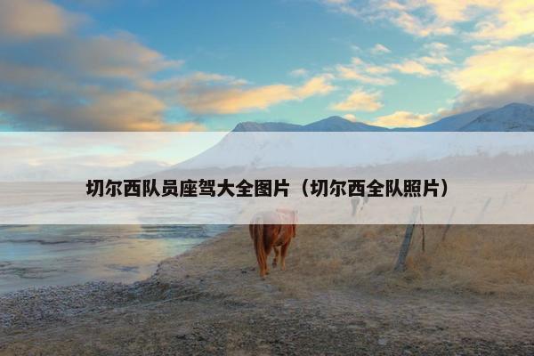 切尔西队员座驾大全图片（切尔西全队照片）