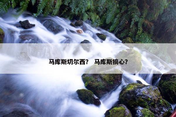 马库斯切尔西？ 马库斯摘心？