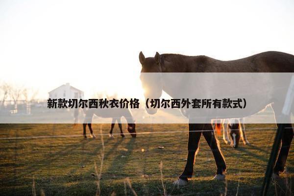 新款切尔西秋衣价格（切尔西外套所有款式）