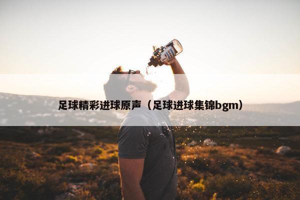 足球精彩进球原声（足球进球集锦bgm）