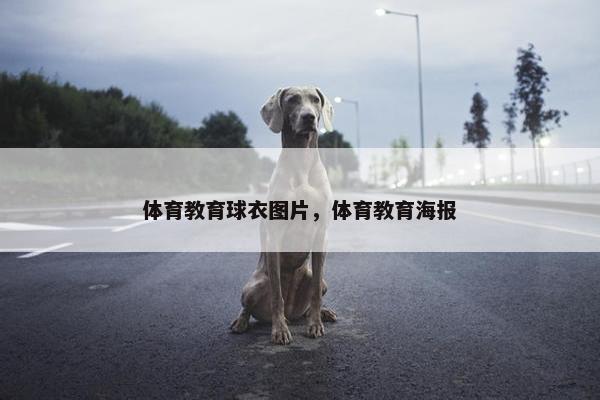 体育教育球衣图片，体育教育海报
