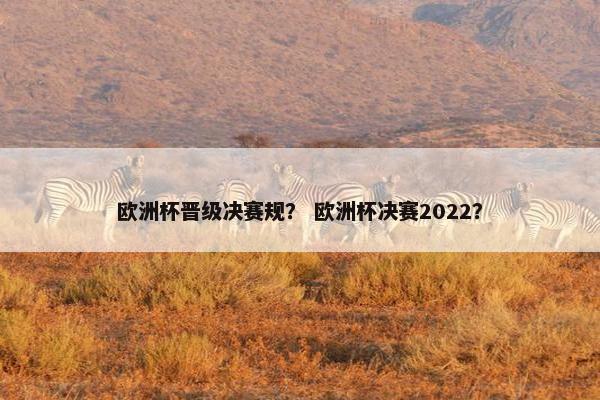 欧洲杯晋级决赛规？ 欧洲杯决赛2022？
