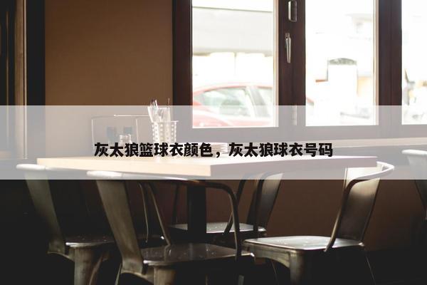 灰太狼篮球衣颜色，灰太狼球衣号码