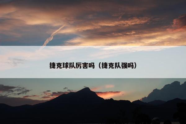 捷克球队厉害吗（捷克队强吗）
