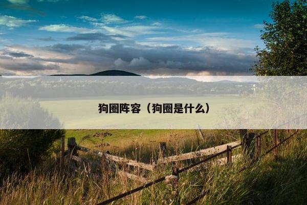 狗圈阵容（狗圈是什么）
