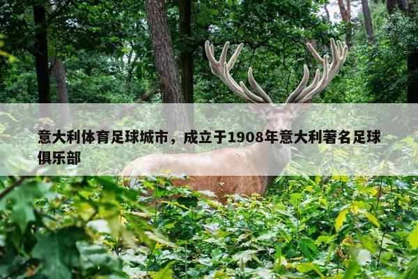 意大利体育足球城市，成立于1908年意大利著名足球俱乐部