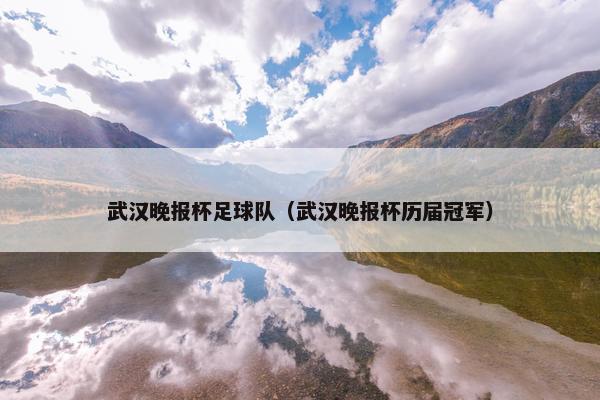 武汉晚报杯足球队（武汉晚报杯历届冠军）