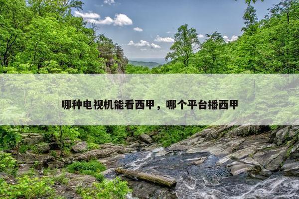 哪种电视机能看西甲，哪个平台播西甲