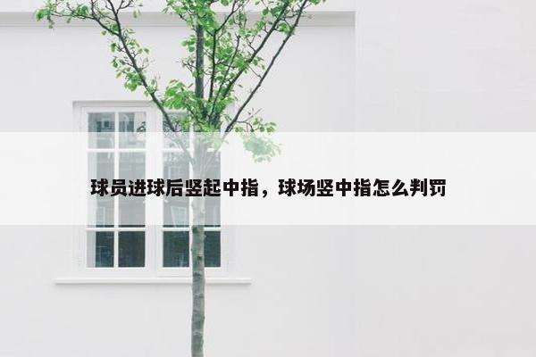 球员进球后竖起中指，球场竖中指怎么判罚