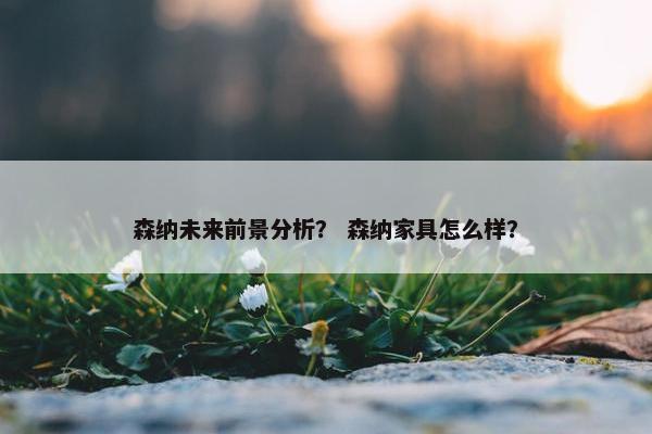森纳未来前景分析？ 森纳家具怎么样？
