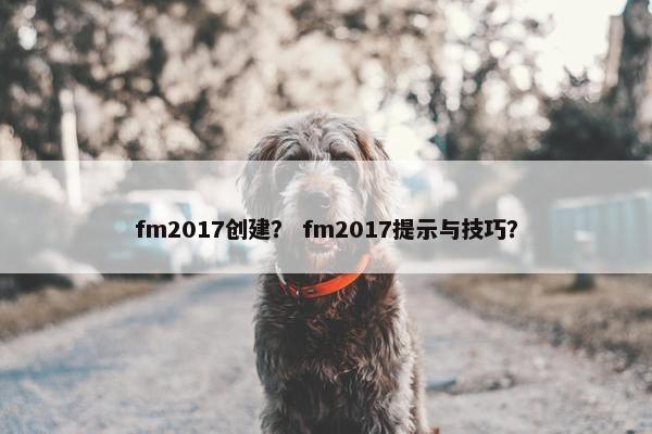 fm2017创建？ fm2017提示与技巧？