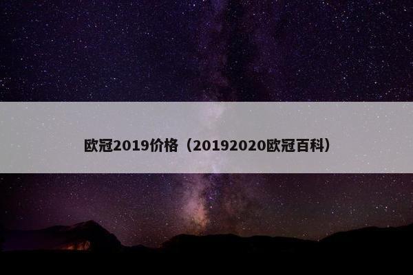 欧冠2019价格（20192020欧冠百科）
