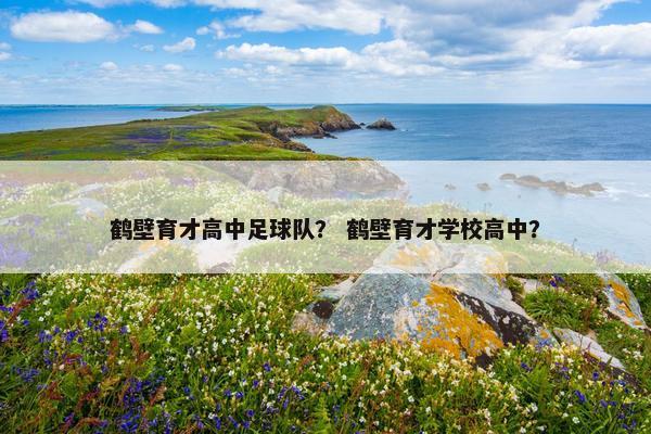 鹤壁育才高中足球队？ 鹤壁育才学校高中？