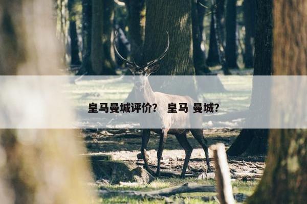 皇马曼城评价？ 皇马 曼城？
