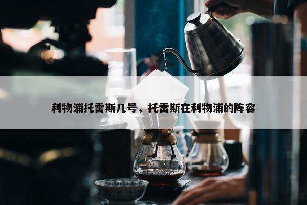 利物浦托雷斯几号，托雷斯在利物浦的阵容