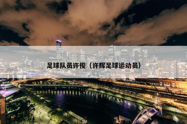 足球队员许俊（许辉足球运动员）