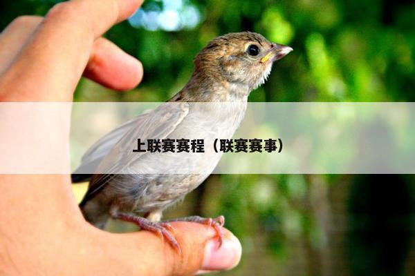 上联赛赛程（联赛赛事）