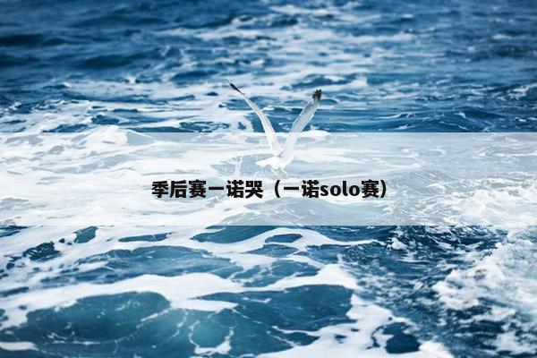 季后赛一诺哭（一诺solo赛）
