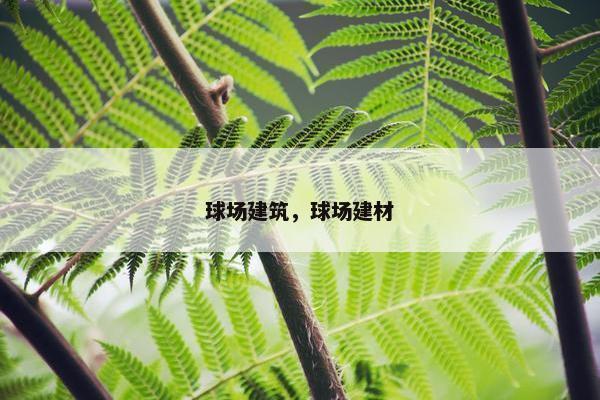 球场建筑，球场建材
