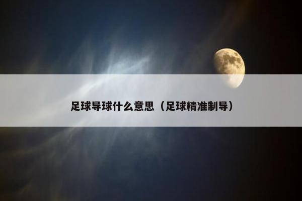 足球导球什么意思（足球精准制导）